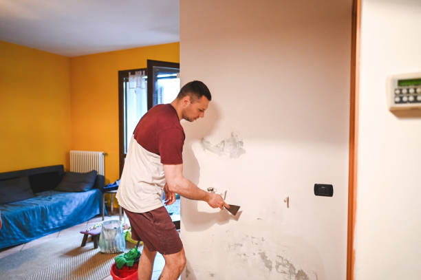 Best Emergency Mold Remediation in Brea, CA